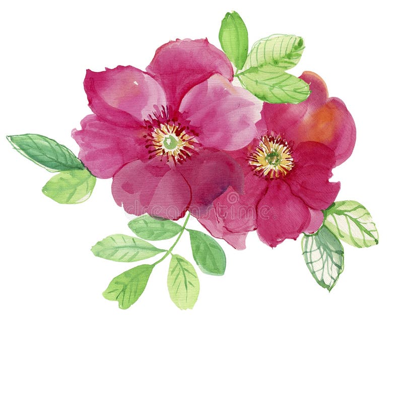 Twee roze rozen Het patroon van nam toe Huwelijkstekeningen stock illustratie Twee roze rozen Het patroon van nam toe Huwelijkstekeningen stock illustratie
