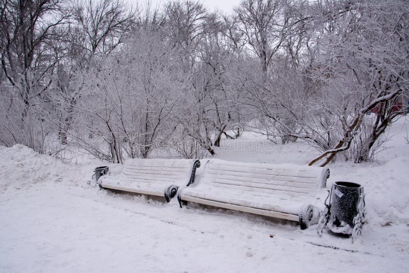 Twee snow-covered banken stock afbeelding Twee snow-covered banken stock afbeelding