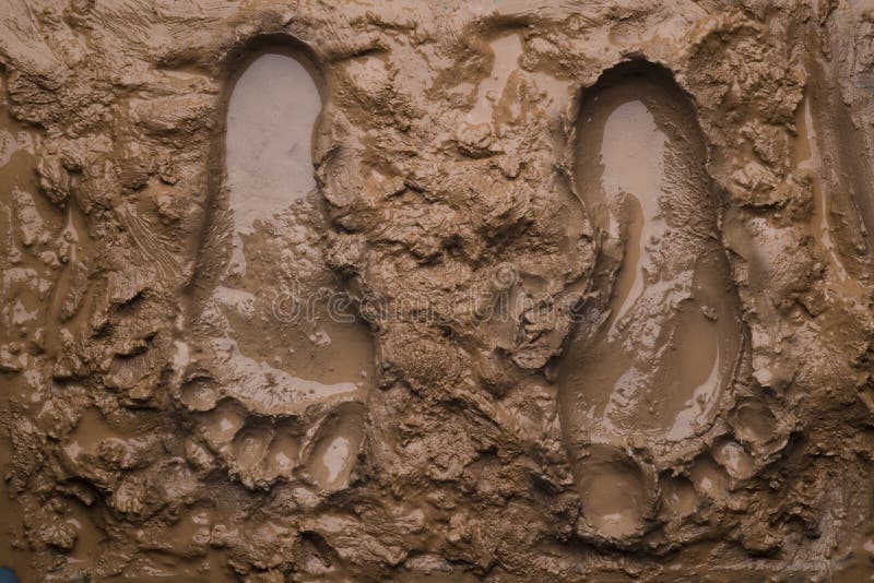 Twee voetafdrukken op natte modder