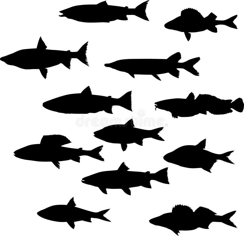 Twelve fish silhouettes stock illustration. Illustration of painting ...
