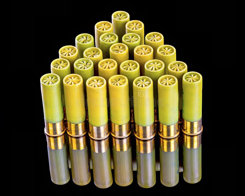 Twenty gauge shotgun shells in a pattern.