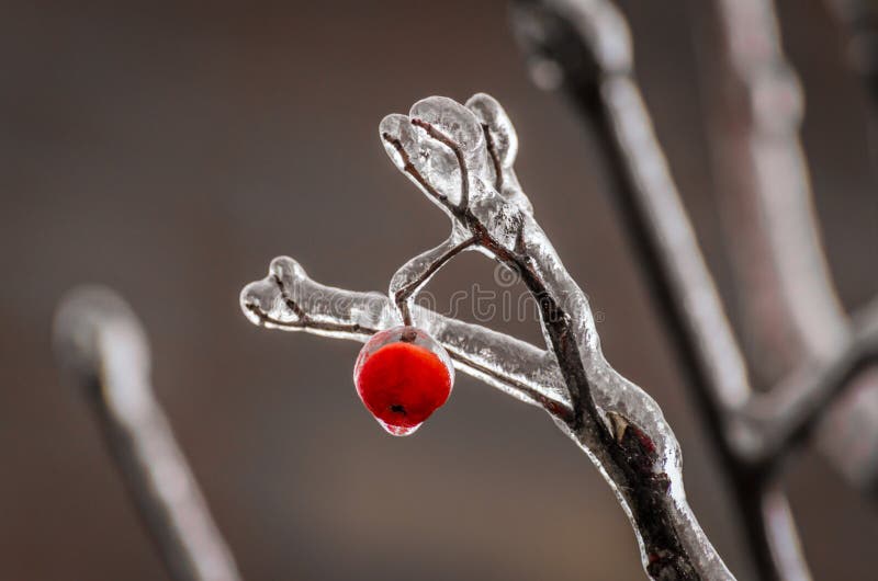 Freezing rain