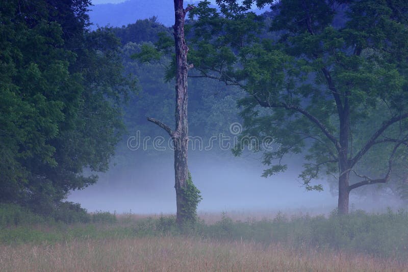 Twilight in the Cove