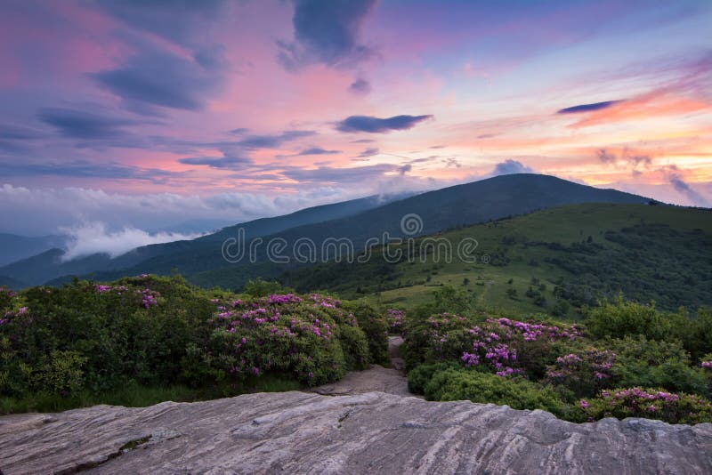 Twilight on Jane Bald stock image. Image of highlands 50677263