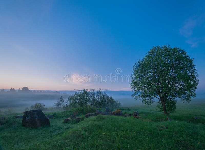 Twilight misty field landscape at summertime