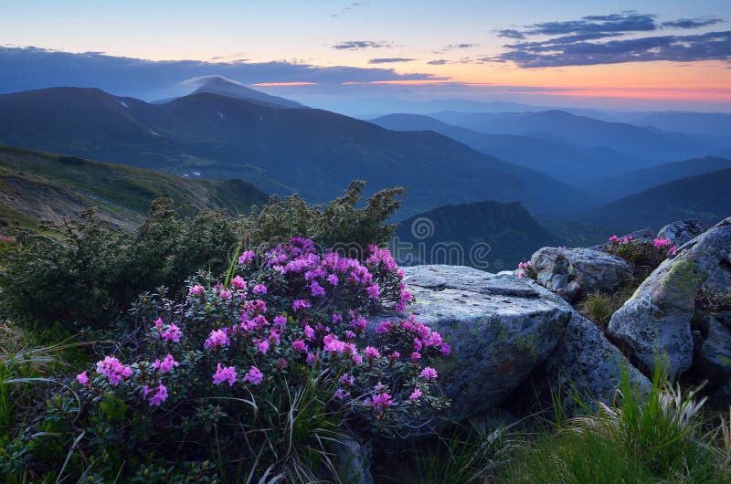 Twilight in the mountains in summer