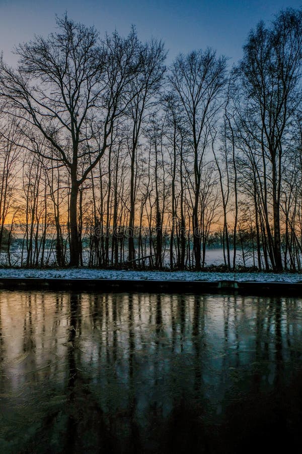 The image features tall, slender trees standing as silhouettes against the fading light of a winter twilight. The sky behind them is painted with the subtle colors of dusk, transitioning from cool blues to the softest hints of orange and pink. The canal in the foreground reflects this light show, disturbed only by thin sheets of ice. The snow on the ground adds a touch of brightness at the edge of the water, contributing to the overall chill of the scene. This photo captures the quiet beauty of a winter&#x27;s evening when nature settles in for the night. Twilight Silhouettes on the Winter Canal. High quality photo