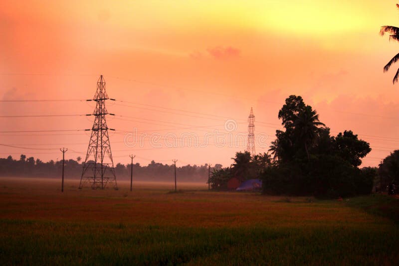 Twilight vibes. A beautiful click from the green fields of alappuzha