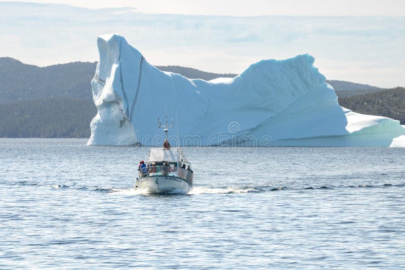 Twillingate new land junho 28 2019 : um icebergue viaja barco a olhar para um icebergue em grande escala ao largo da costa da nova