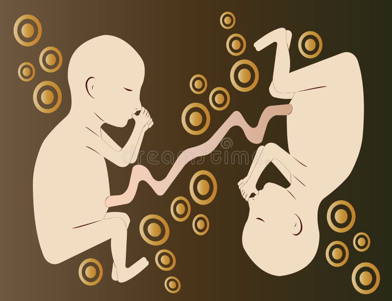 Twin fetuses in gradient brown background.