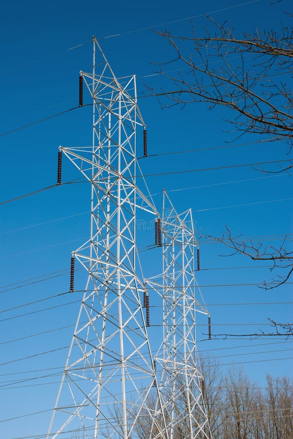 Twin Power Line Towers Framed by Branches