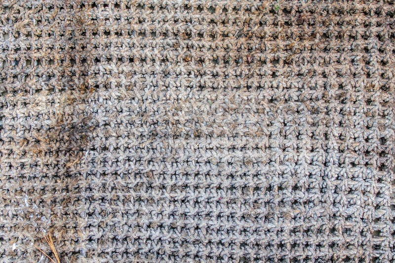 Twine Rope Grungy Background Texture Stock Photo Image of carpet