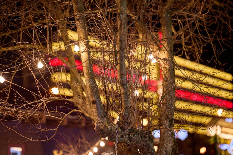 Twinkling lights on bare tree branches with festive glow in the background royalty free stock photos