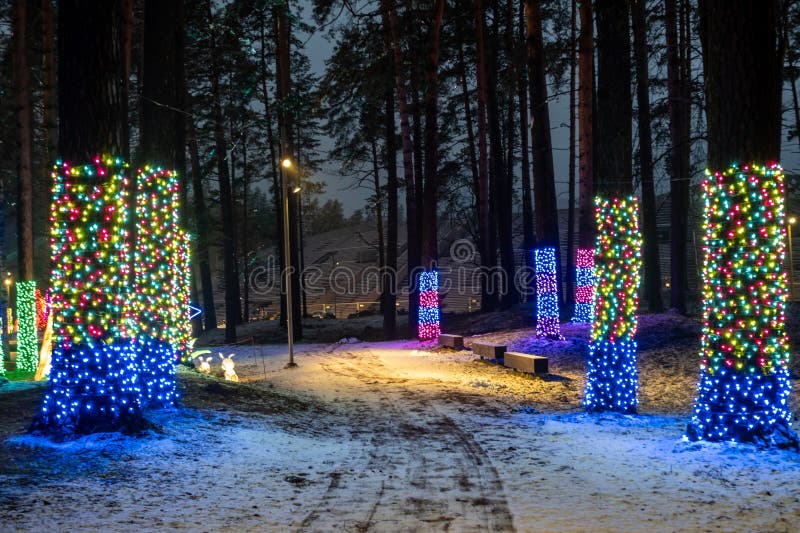 Twinkling Trails Discovering the Magic of Snowy Pathways Amidst a(06)