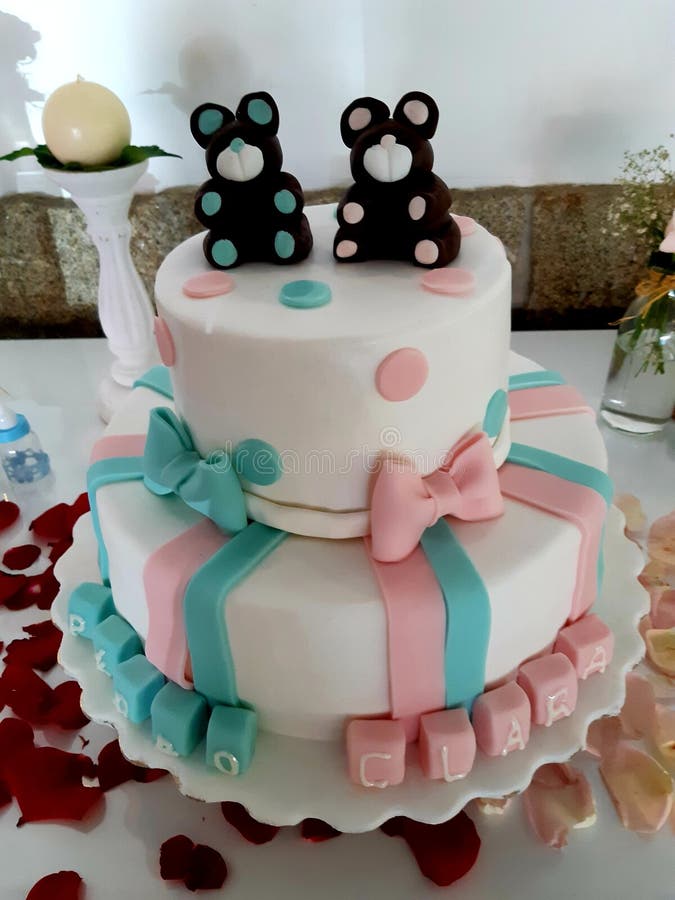 200 Best Twins cake ideas | twins cake, cake, twin birthday cakes
