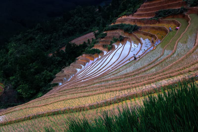 La Pan Tan is the biggest valleys in Mu Cang Chai, Yen Bai, Vietnam. Valley is full of terrace fields. It becomes very beautiful in the season of watering down or of rice grain. La Pan Tan is the biggest valleys in Mu Cang Chai, Yen Bai, Vietnam. Valley is full of terrace fields. It becomes very beautiful in the season of watering down or of rice grain.