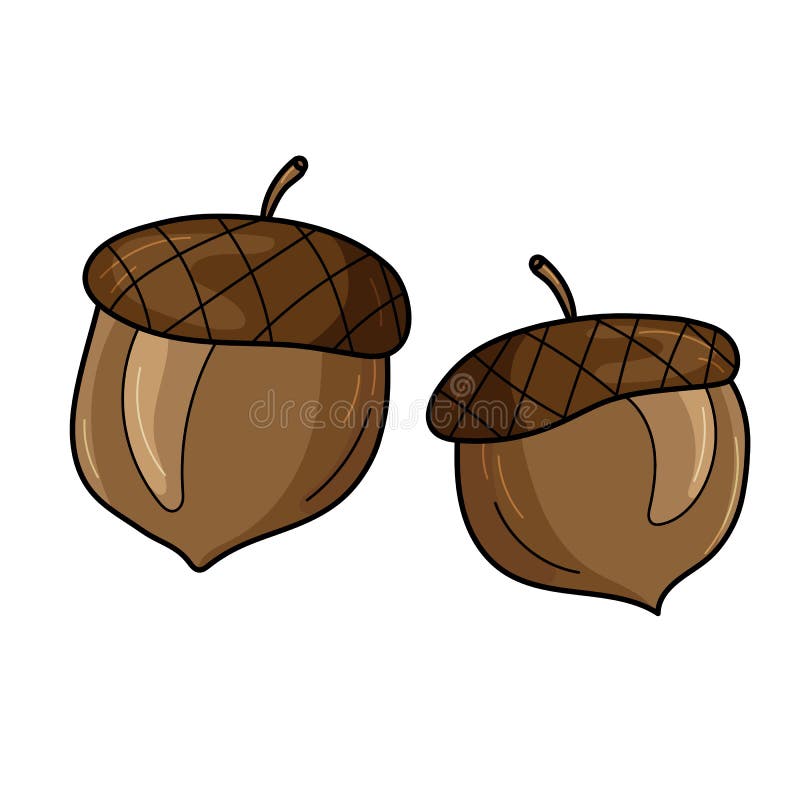 Acorn Stock Illustrations – 44,335 Acorn Stock Illustrations, Vectors &  Clipart - Dreamstime