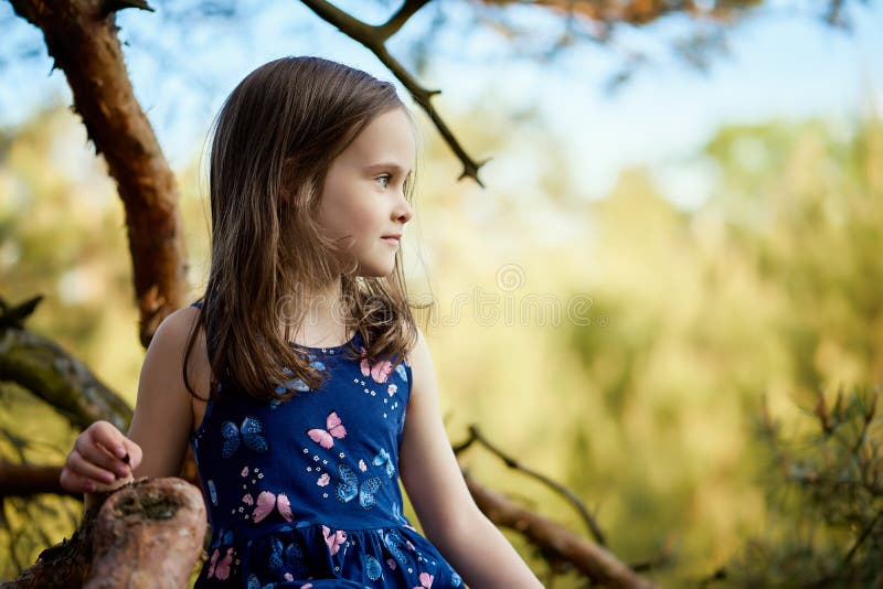 Two Girls in Summer Dresses are Climbing a Tree in the Forest Stock ...