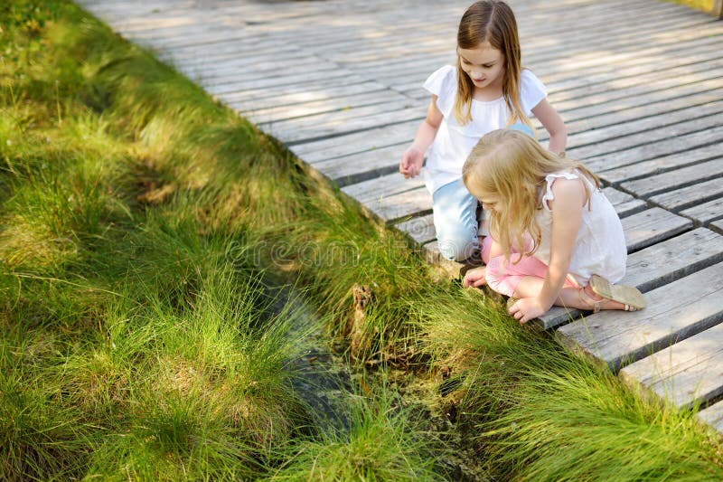 Two adorable young girls catching babyfrogs in summer forest royalty free stock photo Two adorable young girls catching babyfrogs in summer forest royalty free stock photo