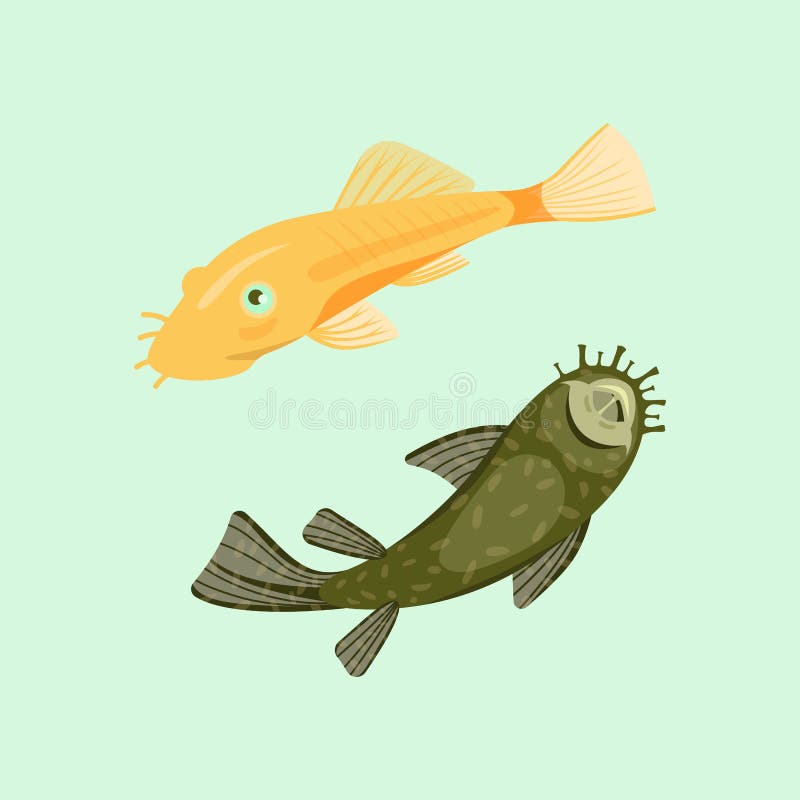 Catfish. Freshwater aquarium fish icon set flat style isolated on white.  Vector illustration royalty…