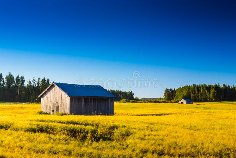Two Barns On The Autumn Fields. The barns are in the middle of the fields waiting for the farmers to collect the crops royalty free stock photo Two Barns On The Autumn Fields. The barns are in the middle of the fields waiting for the farmers to collect the crops royalty free stock photo