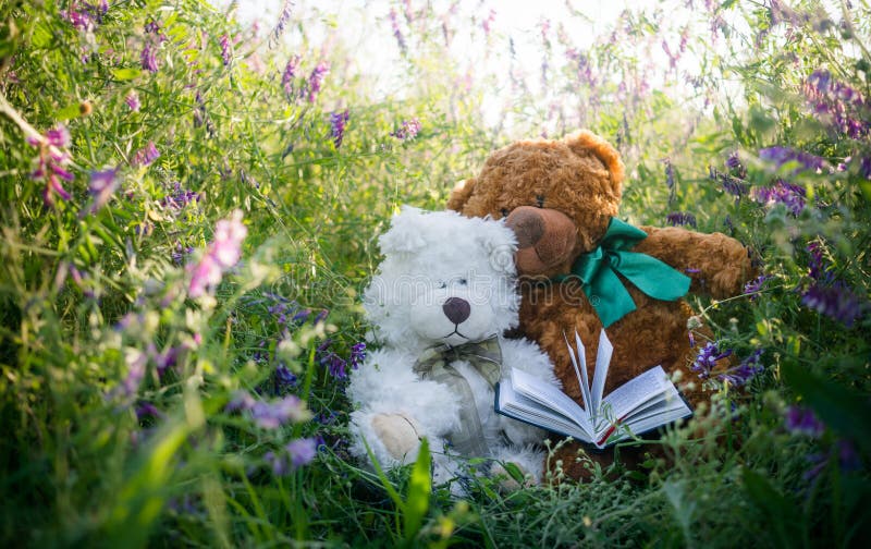 2,382 Romantic Teddy Bears Stock Photos - Free & Royalty-Free Stock Photos  from Dreamstime