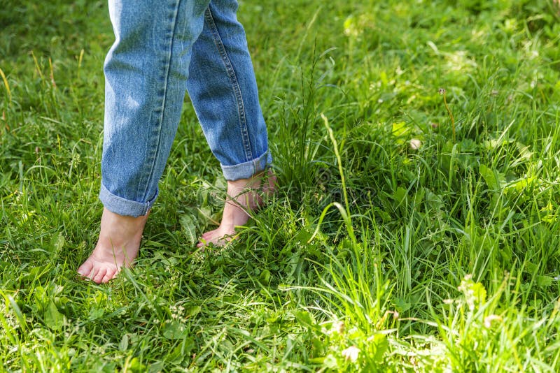 Two Beautiful Female Feet Walking on Grass in Sunny Summer Morning ...