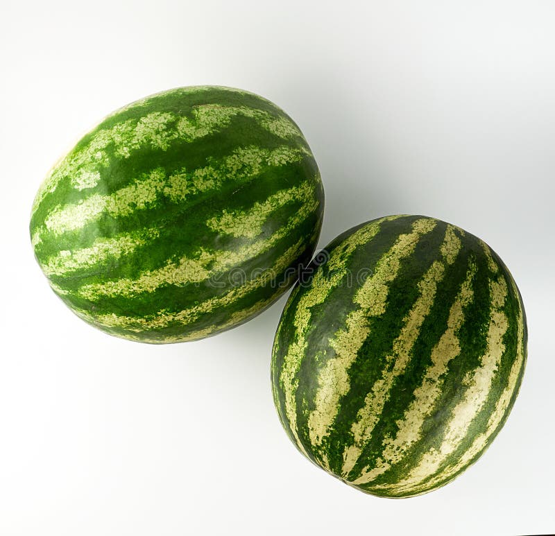 two big green striped whole watermelon on a white background