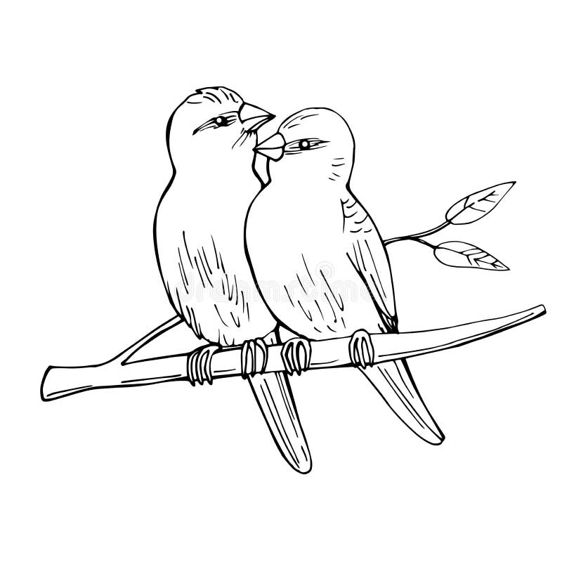 Two Birds Sitting Branch Tree Stock Illustrations – 204 Two Birds ...