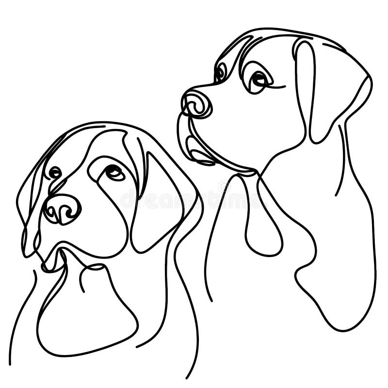 Two Black Dogs, One with a White Chest and the Other with a White Face, Standing Side by Side