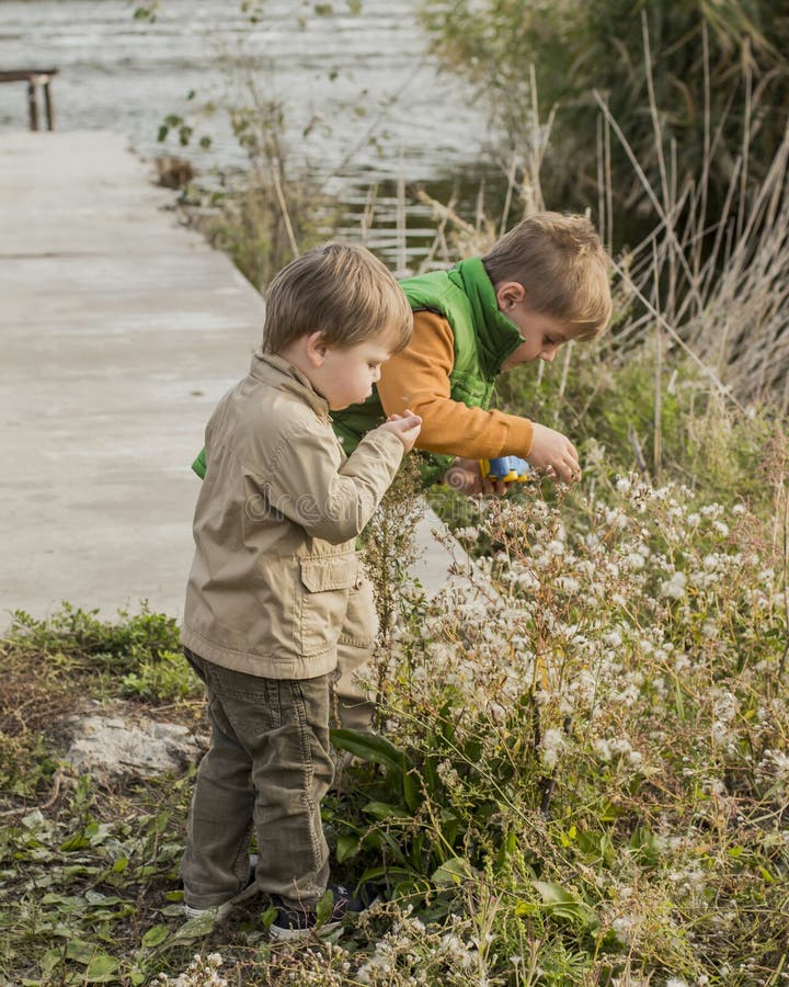 Two boys are blowing dandelions. Children in nature. Children near the river. Boys play with wildflowers.