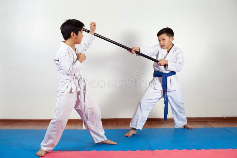 Two Boys Demonstrate Martial Arts Working Together Stock Photo Image