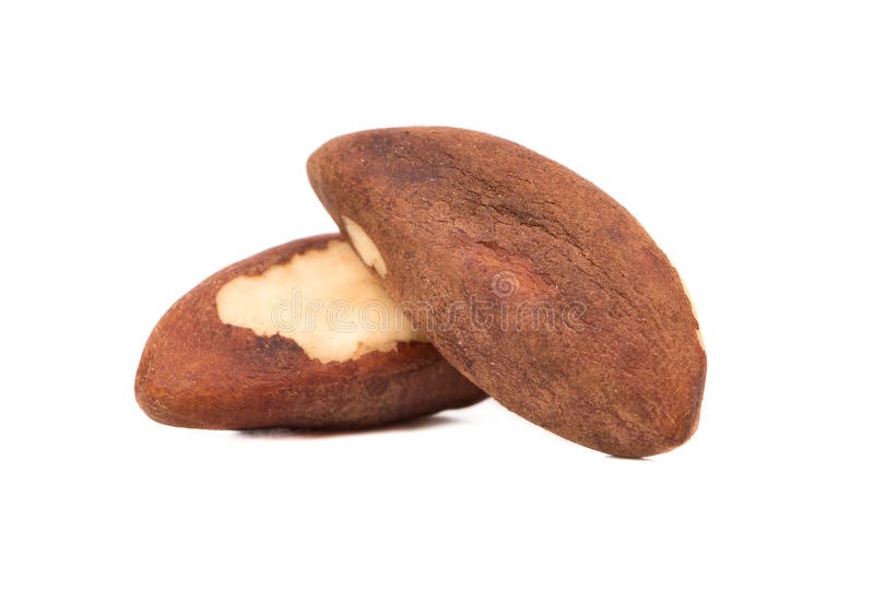 Two Brazil nuts stock image. Image of diet, healthy, ingredient 90502839