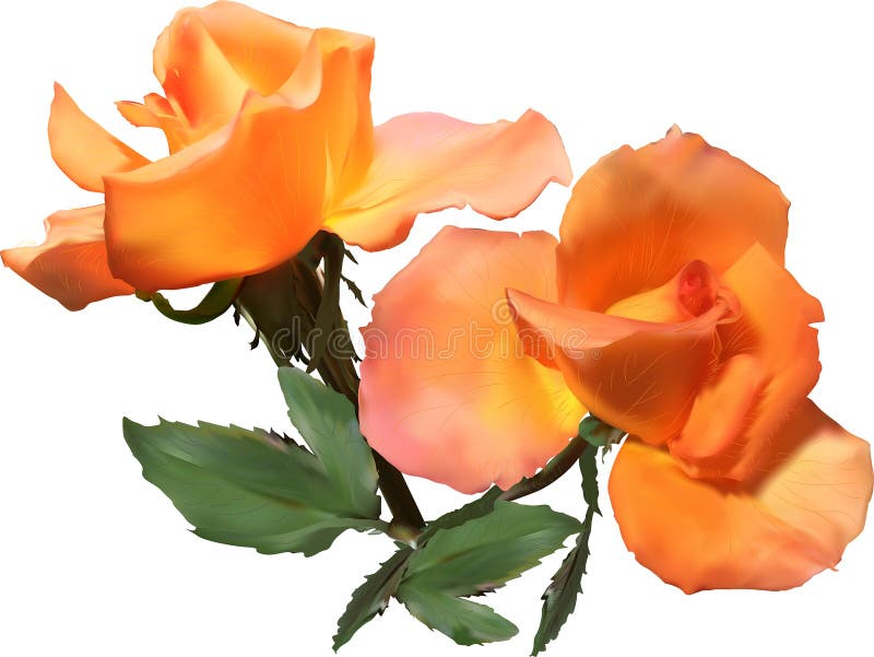 Orange bright flame frame stock image. Image of flammable 17228901