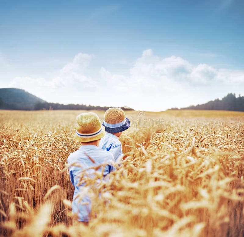 Two Brothers among Corn Fields Stock Image Image of brothers