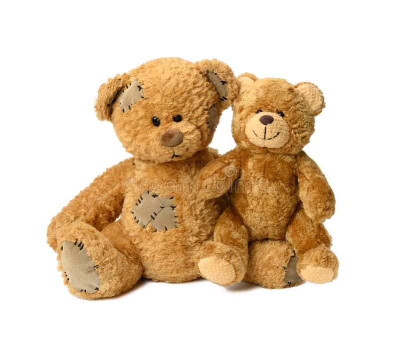 Two Brown Cute Teddy Bears on a White Background Stock Photo Image of