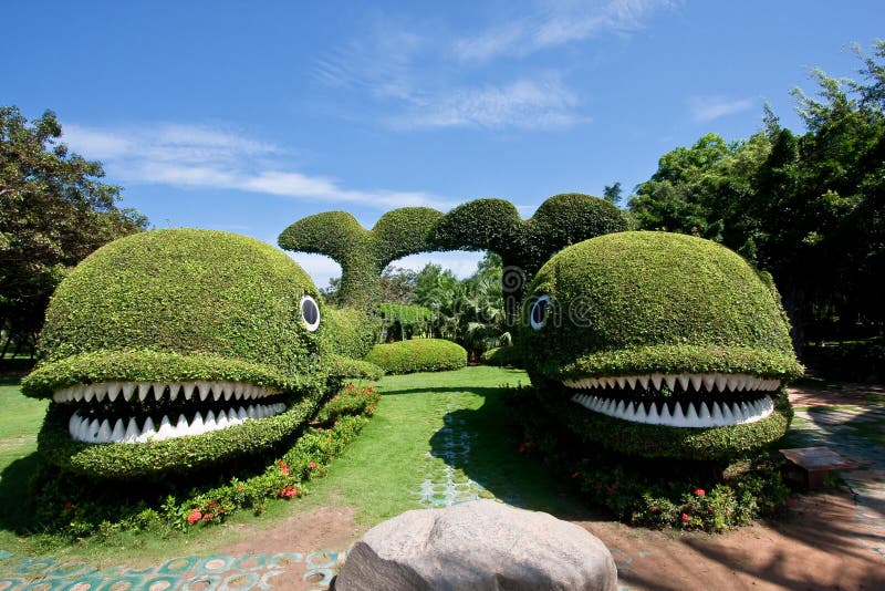 Two whales made out of shaped bush. Two whales made out of shaped bush