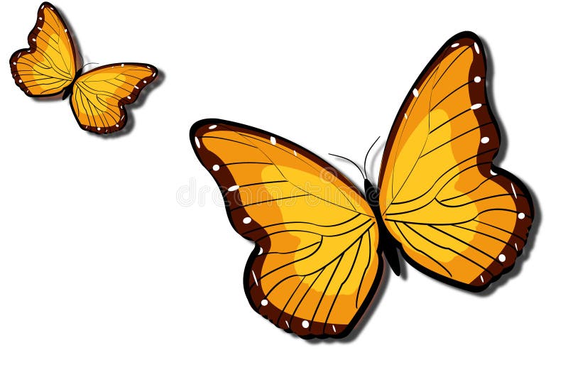 Two butterfly