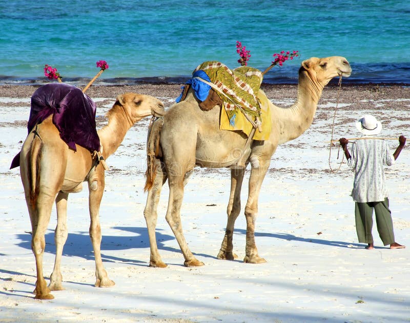 Kenyan Tourist At The Lake Baringo, Kenya Editorial Image - Image of