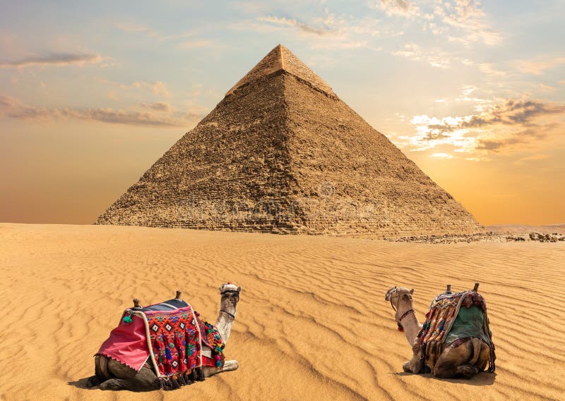 Two camels near the Pyramid of Chephren, Egypt royalty free stock photography Two camels near the Pyramid of Chephren, Egypt royalty free stock photography