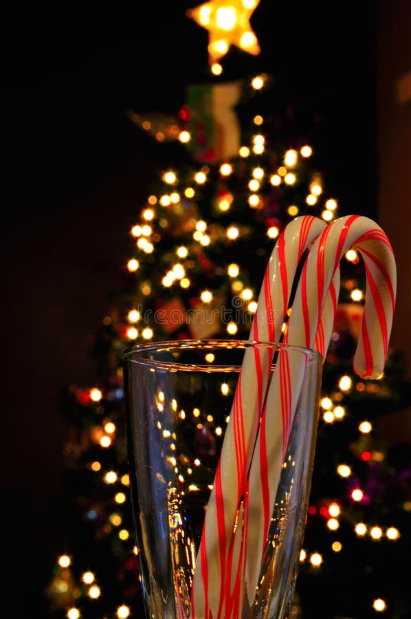 Two candy canes displayed in front of a Christmas tree with lights. Two candy canes displayed in front of a Christmas tree with lights.