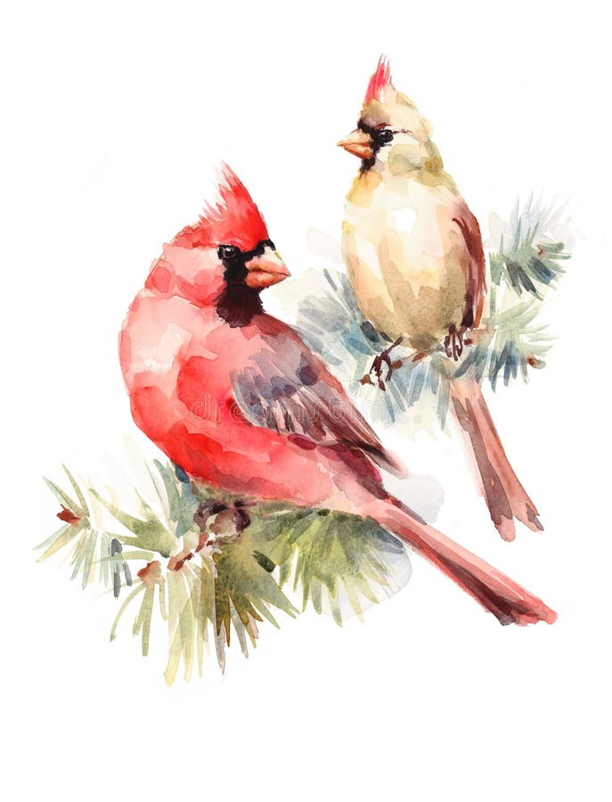 Two Cardinals Birds Male And Female Watercolor Christmas