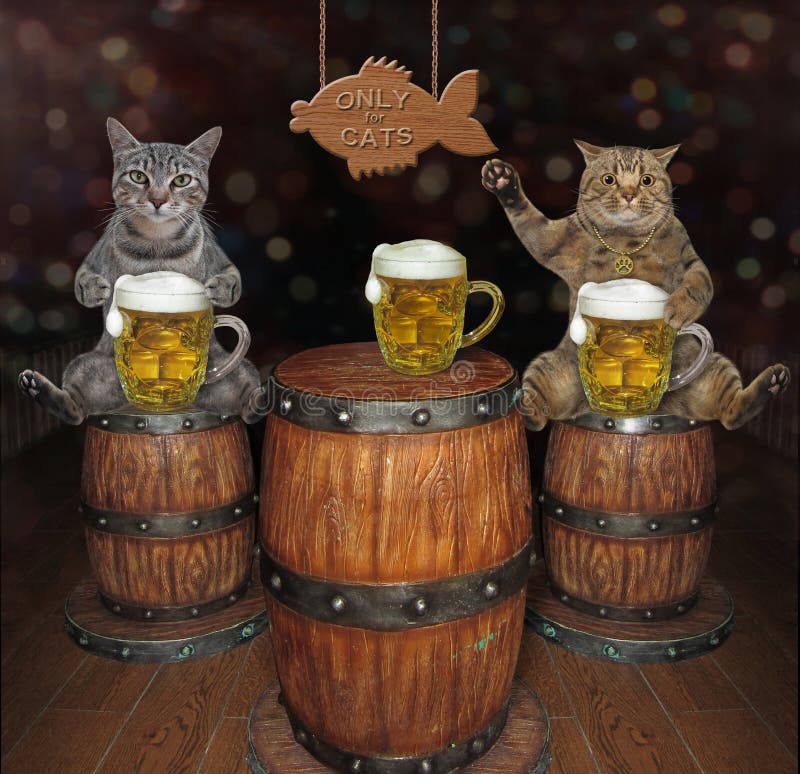 Two cats drink beer in pub 2