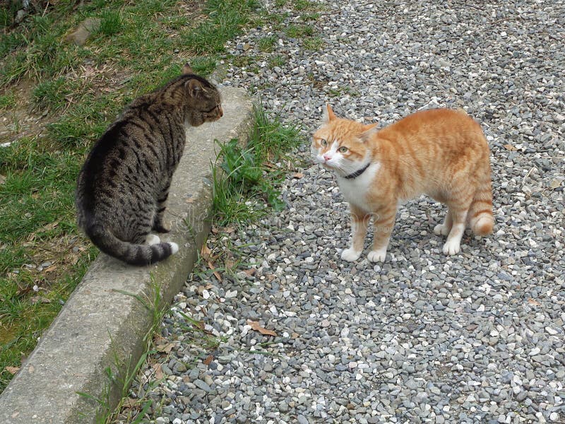 Svetlana Kravchenko (Lana4kask) Photographer profile