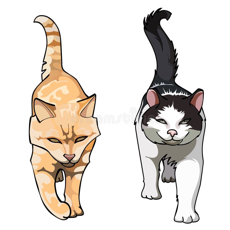 Premium Vector  A cartoon of two cats with the word cat on the front.