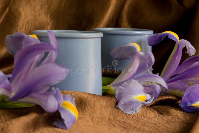 Two ceramic pots with irises