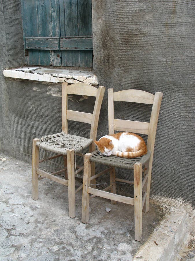 Two chairs and one cat