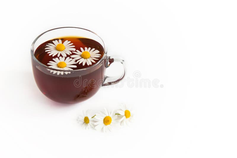 Chamomile tea on white background