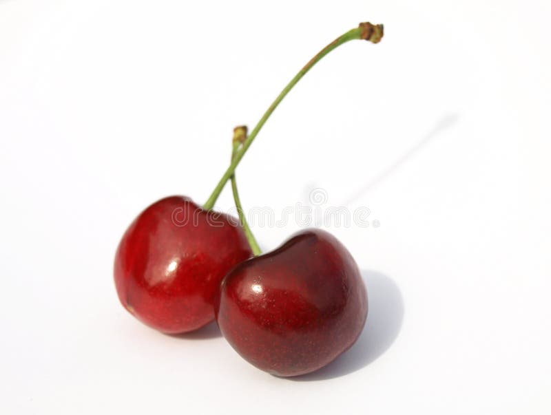 Two cherries on a branch. stock photo. Image of sweet - 1430976