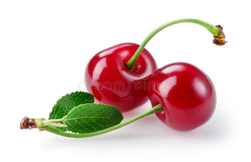 Two Fresh Cherries with Leaf Isolated on White Background Stock Image ...